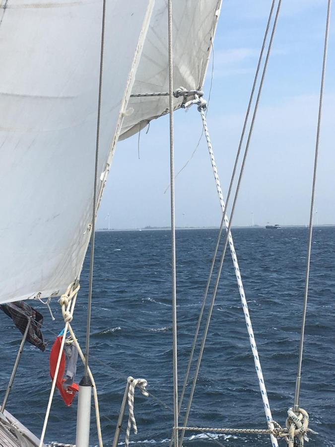 From September Lyra On The Go To Suriname Till 1 April 2026 Joint Captain Casey Medemblik Exteriör bild
